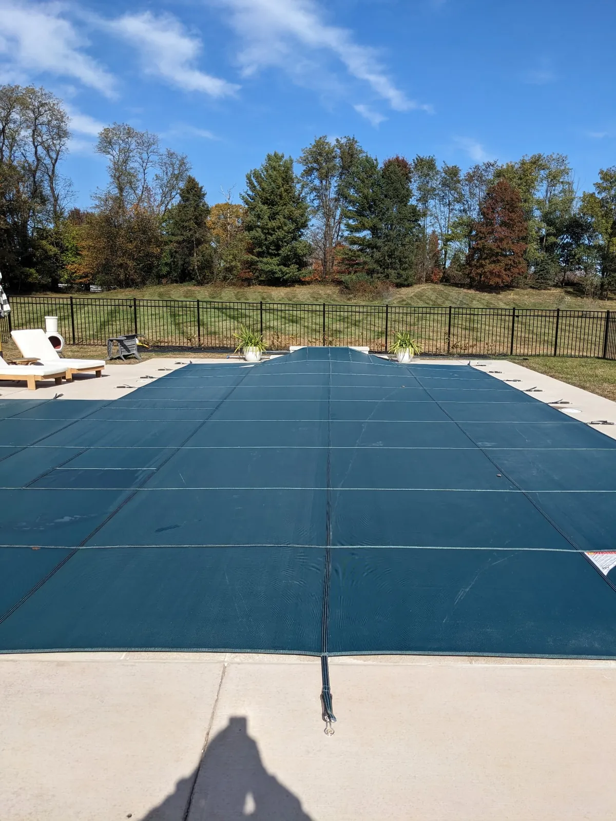 Technician performing hands-on pool filter cleaning service