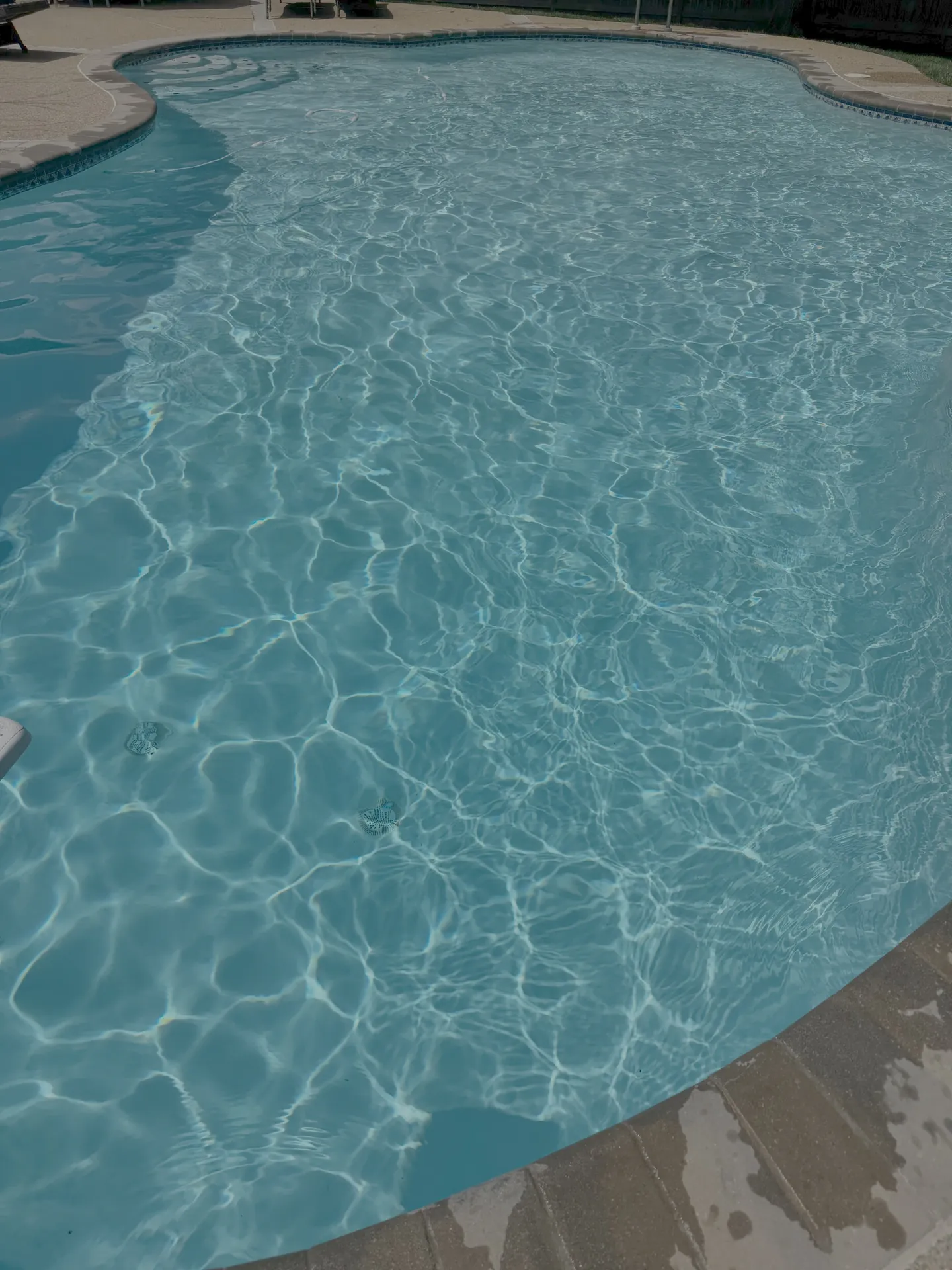 Sparkling in-ground pool with crystal-clear balanced water in Loudoun County, Virginia